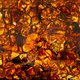 Плитка.Конячный.